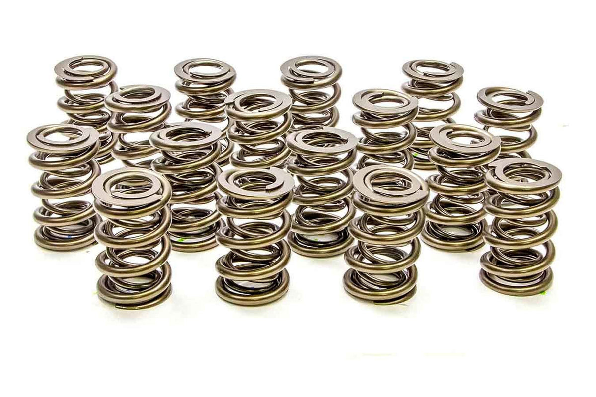 1,550 ressorts de soupape doubles (16)
