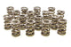 1,550 ressorts de soupape doubles (16)