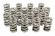 1.274 Ressorts de soupape doubles GM LS (16)