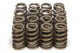 1.250 Ressorts de soupape - Ovate Beehive (16)