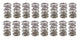 Ressorts de soupapes doubles 1.300 Drag Race (16)