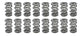 Ressorts de soupape triples de 1,681 (16)