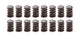 1.538 Dual Valve Springs w/Damper (16)