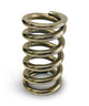 Calibrated Test Spring Medium 50-450lbs