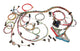 98-02 GM LS1 Fuel Inj. Wiring Harness