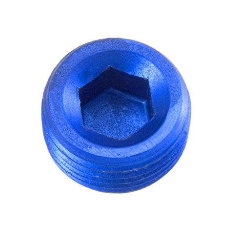 Bouchon hexagonal de tuyau NPT 1/16 po 2/paq Bleu