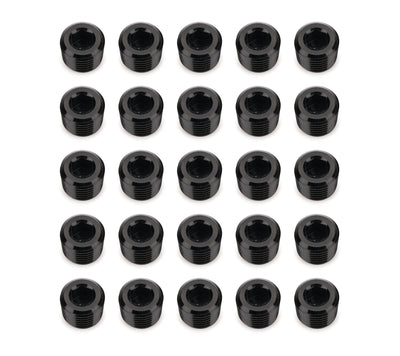 Bouchon de tuyau à tête hexagonale creuse NPT 1/4 po 25/paquet Noir