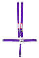 Ensemble de harnais 5 points L&L violet SFI