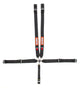 Harnais 5 points à boucle Camlock SFI Sportsman P/U noir