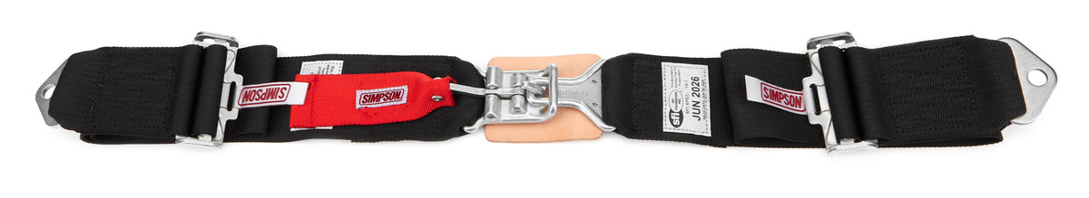 Ceinture de sécurité 62 po de long avec prise de courant et installation intégrée