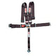 Système de harnais 5 points LL Wrap Ind 55 po
