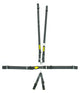 6pt Harness System SFI LatchLink Black HANS