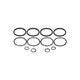 O-Ring Kit - for Early Strange 4-Piston Caliper