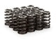 Ressorts de soupapes Beehive 1.237, paquet de 16