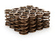 1.290 Dual Valve Springs 16pk