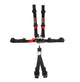 Harness 6pt Black L&L 2in Shoulder SFI 16.1