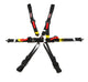 Harness 6pt Black Cam L 2in Shoulder FIA
